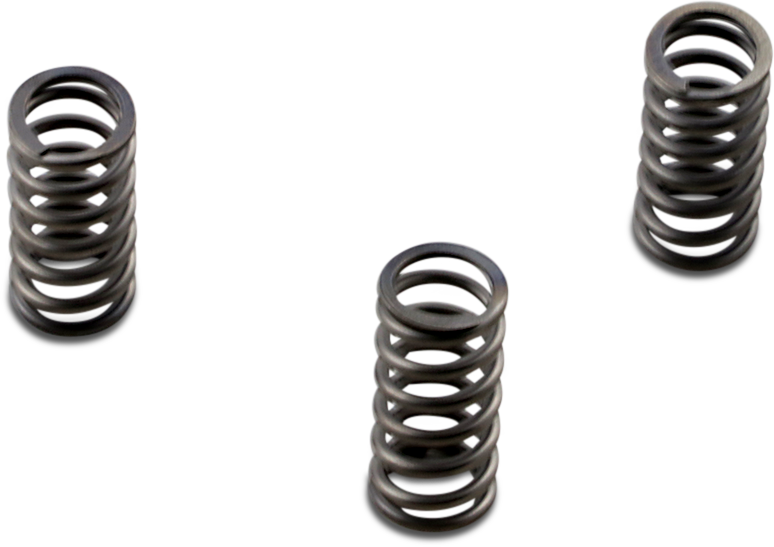 EBC - CSK235 - Clutch Springs - FLH/FLS/FLR