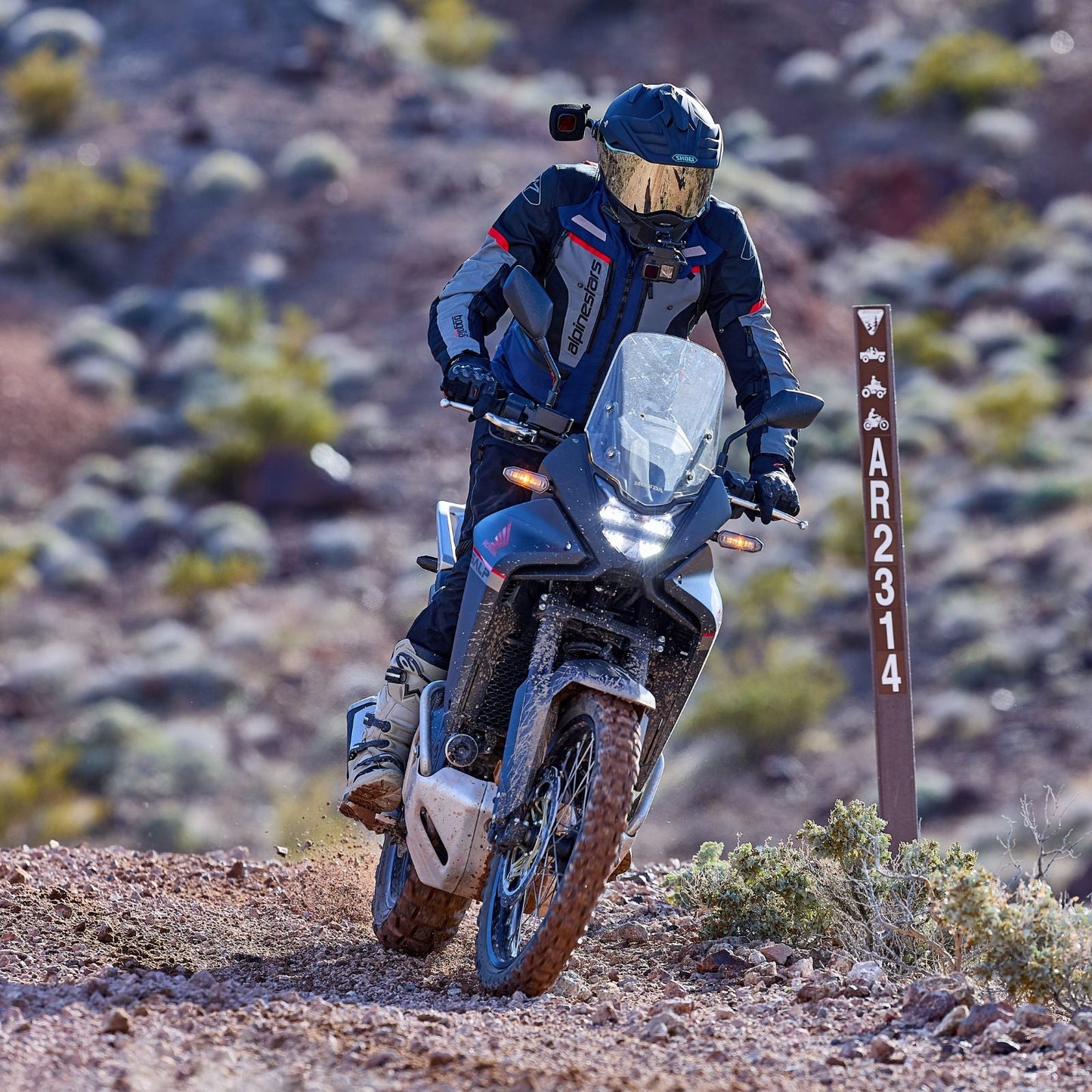 SHOEI - Hornet X2 - SILVER