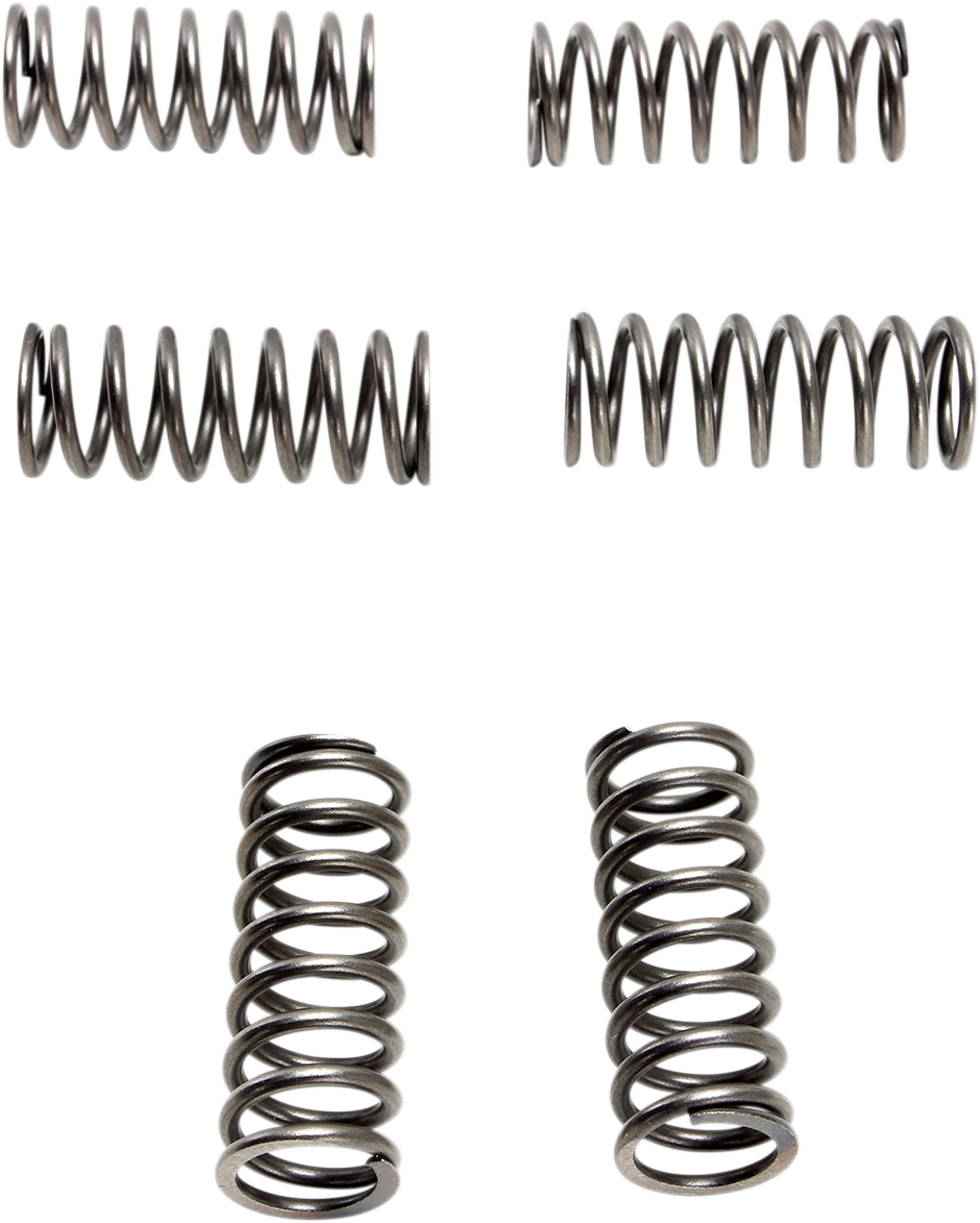 EBC - CSK198 - Clutch Springs - 6 pcs.