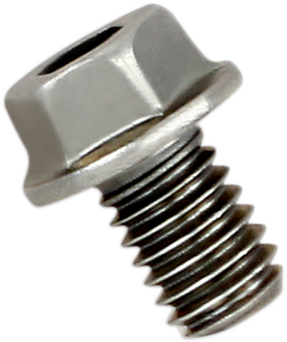Akrapovic - P-FB40 - Replacement Exhaust Bolt
